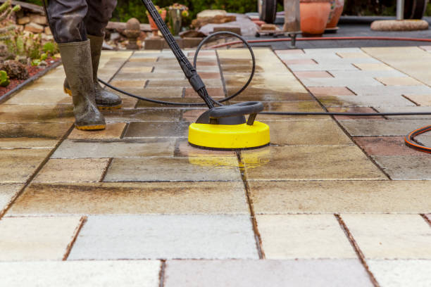 Best Animal Enclosure Cleaning  in Amerin Nyon, CA